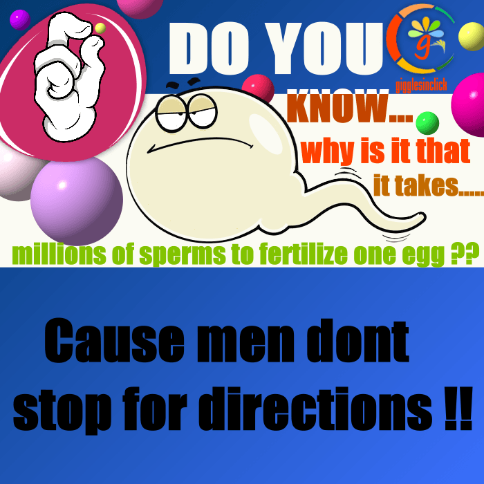 one sperm, sperm, man, directions, wonder, why it takes, giggles, gigglesinclick.com, lol, jokes, quotes, creative, egg